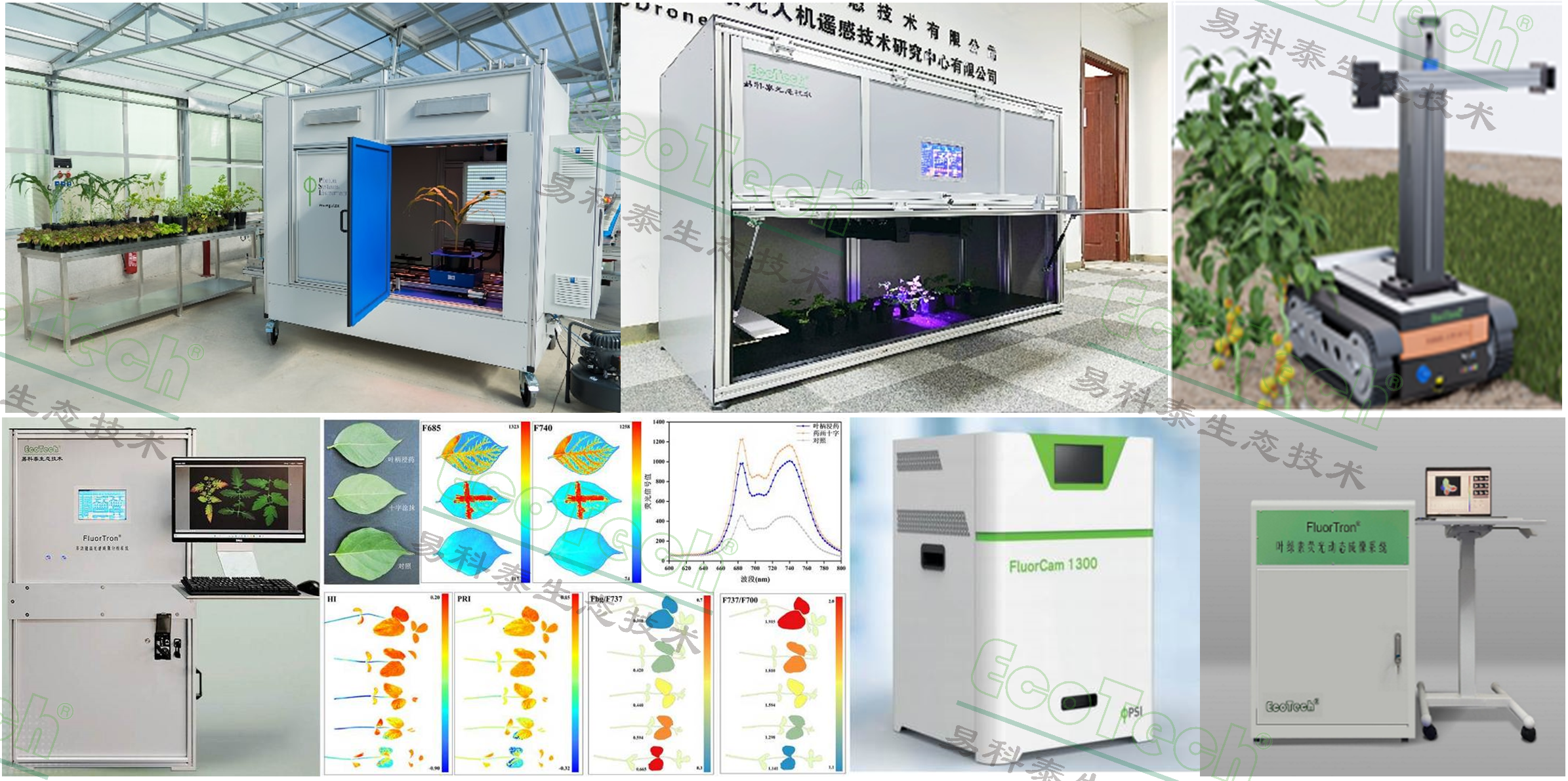 Z6��������ʱ���й����ٷ���վ